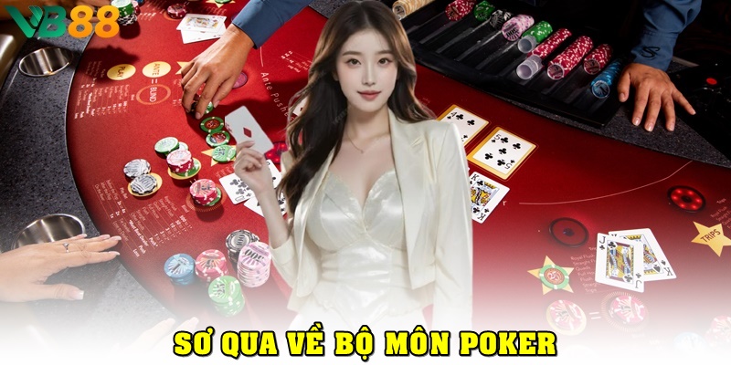 Hướng Dẫn Luật Chơi Poker Chi Tiết Nhất, Tân Thủ Không Nên Bỏ Qua Sơ qua về bộ môn Poker